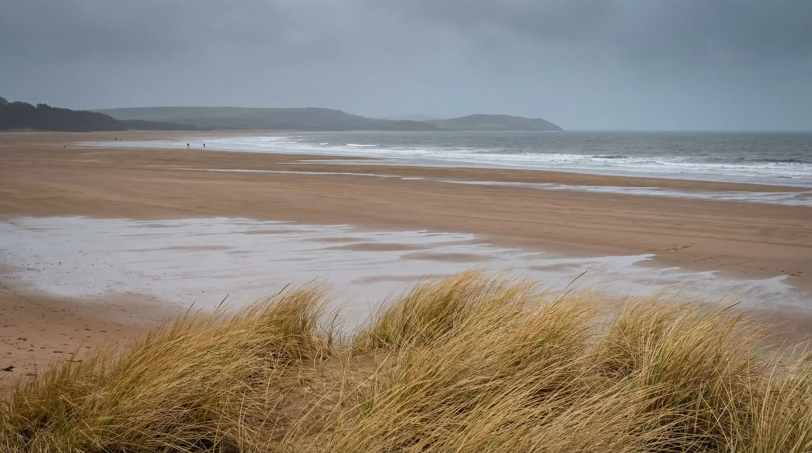 Herbes de mer - Ambiance naturelle apaisante
